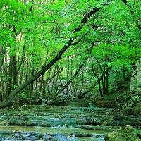 El Parque Nacional de Golestán